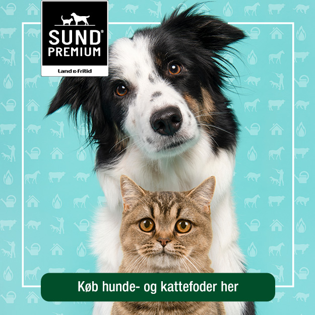 25041_Redesign_generelle_300x300px2